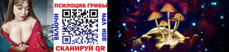 купить  цена  Махачкала  Псилоцибиновые грибы прущие грибы 